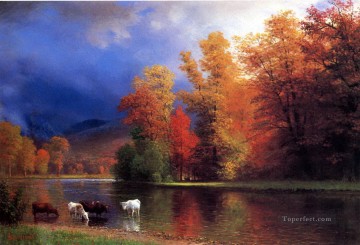 bierstadt sur les taureaux saco Peinture à l'huile